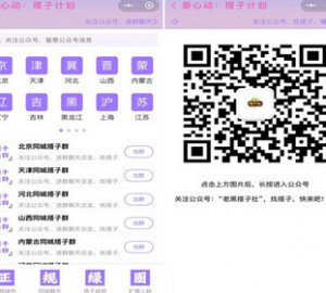 搭子引流前端小程序，无后台，可二开