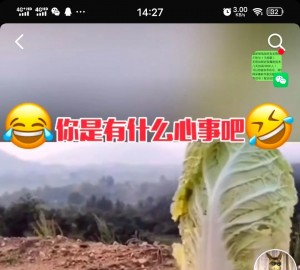 表情包项目的实战细节