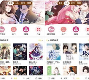 小说,漫画,听书,视频,四合一+搭建教程对接采集