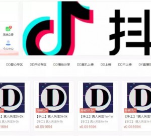 重磅项目：抖音数据商人，一单利润百分之70！