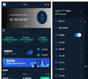 附加（VUE源码）交易所仿火币模式 法币交易 币币交易 合约交易 期权交易 流动性挖矿 UP理财 LEO认购 运营版