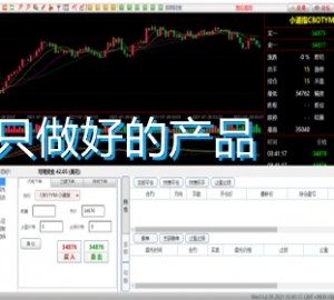 信管家源码/通达信配资/博易大师/外汇模拟/MT4外汇/财经交易