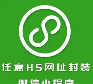 手机网站封装微信小程序 H5网页转小程序