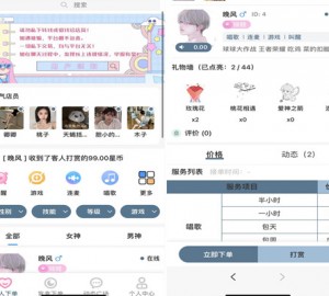 游戏陪玩语音聊天系统v3.0 独立版本源码