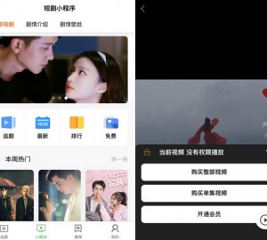 小剧场短剧影视小程序源码 全开源 带支付收益等模式 付费短剧小程序源码