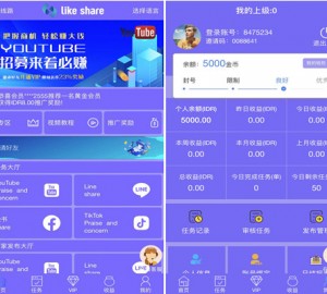 十二种语言点赞 抖音 脸书 tiktok 分享点赞任务系统源码