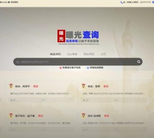 子查询曝光系统黑名单查询失信名单可改成其他类型的查询平台源码