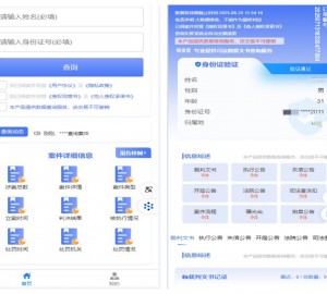 全国个人企业司法涉诉涉案背调查询系统源码
