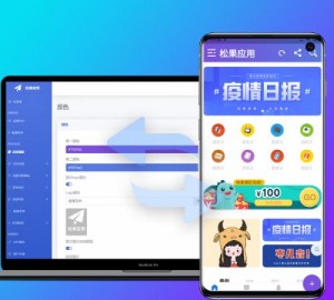 网站转换APP源代码 WebAPP源代码 网站生成APP源代码 Flutter项目 带控制端