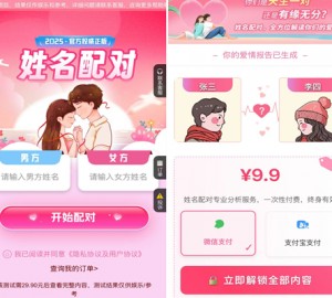 2025姓名配对测算系统最新源码 带后台